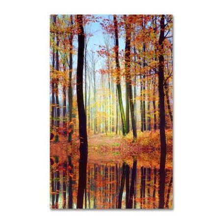 Philippe Sainte-Laudy 'Fall Mirror' Canvas Art,16x24